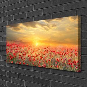 Obraz na plátně Slunce Louka Mák Květiny 100x50 cm