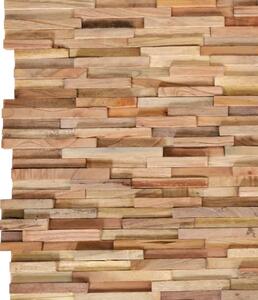 Nástěnné obkladové panely 10 ks 1,08 m² masivní teakové dřevo