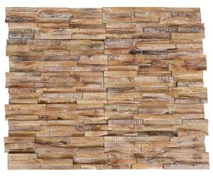 Nástěnné obkladové panely 10 ks 1,01 m² masivní teakové dřevo