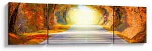 Obraz - Brána z korun stromů (170x50 cm)