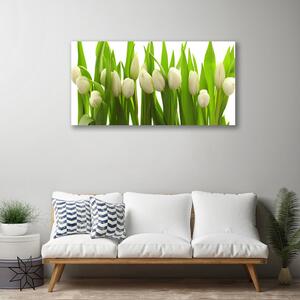Obraz na plátně Tulipány Květiny Rostlina 100x50 cm