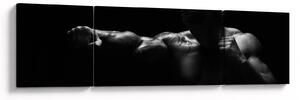 Obraz - Úder pěstí (170x50 cm)