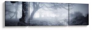 Obraz - Cesta v mlze (170x50 cm)