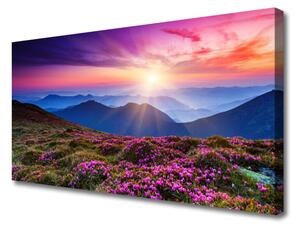 Obraz na plátně Hora Louka Květiny Krajina 120x60 cm