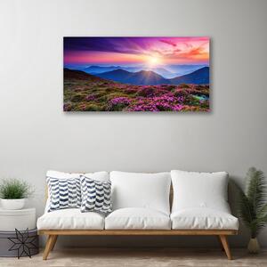 Obraz na plátně Hora Louka Květiny Krajina 100x50 cm