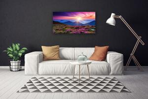 Obraz na plátně Hora Louka Květiny Krajina 140x70 cm