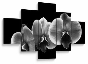 Obraz květu orchideje (125x70 cm)