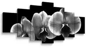 Obraz květu orchideje (210x100 cm)