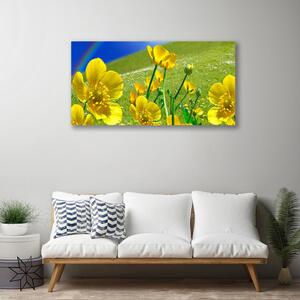 Obraz na plátně Louka Květiny Duha Příroda 100x50 cm