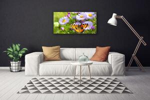 Obraz na plátně Květiny Motýl Příroda 100x50 cm