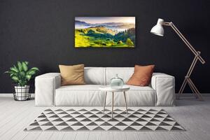 Obraz na plátně Hora Pole Mlha Příroda 140x70 cm