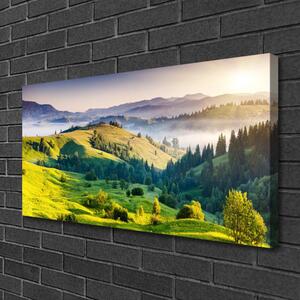 Obraz na plátně Hora Pole Mlha Příroda 100x50 cm