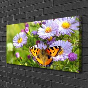 Obraz na plátně Květiny Motýl Příroda 100x50 cm