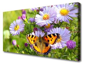 Obraz na plátně Květiny Motýl Příroda 120x60 cm