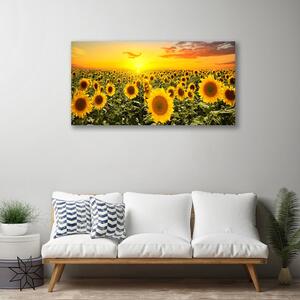 Obraz na plátně Slunečnice 120x60 cm