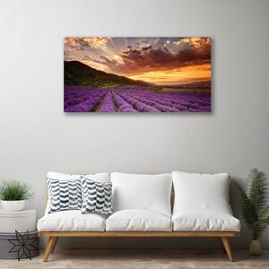 Obraz na plátně Pole Levandule Západ Slunce 100x50 cm