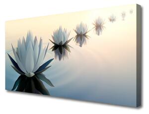 Obraz na plátně Vodní Lilie Bílý Leknín 125x50cm