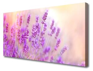 Obraz na plátně Levandulové Pole Slunce Květiny 120x60 cm