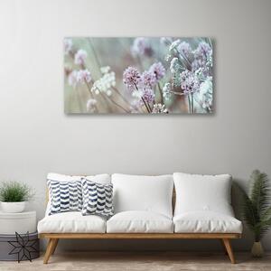 Obraz na plátně Polní Květiny Louka Příroda 140x70 cm
