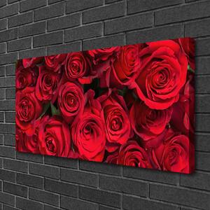 Obraz na plátně Červené Růže Květiny Příroda 100x50 cm