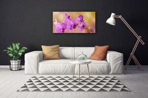 Obraz na plátně Orchidej Výhonky Květiny Příroda 125x50 cm