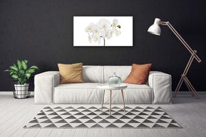 Obraz na plátně Bílá Orchidej Květiny 100x50 cm