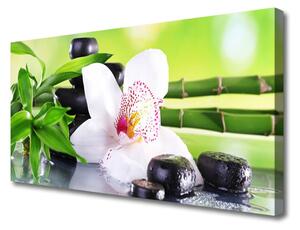 Obraz na plátně Orchidej Kameny Zen Bambus 125x50 cm