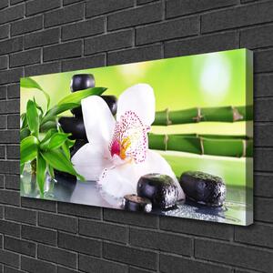 Obraz na plátně Orchidej Kameny Zen Bambus 140x70 cm