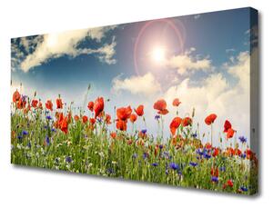 Obraz na plátně Louka Květiny Slunce Příroda 120x60 cm