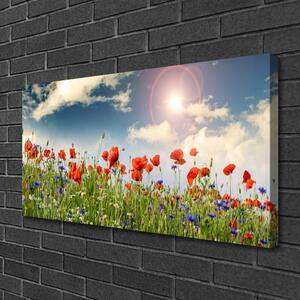 Obraz na plátně Louka Květiny Slunce Příroda 100x50 cm