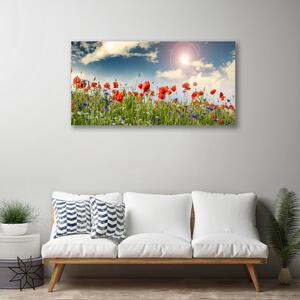 Obraz na plátně Louka Květiny Slunce Příroda 125x50 cm