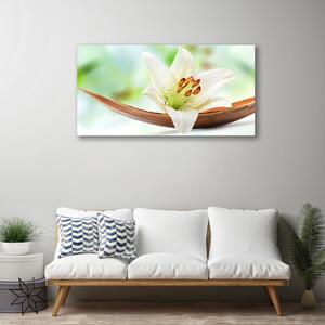 Obraz na plátně Květ Rostlina Příroda 120x60 cm