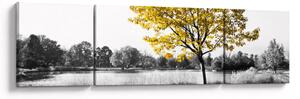 Obraz - Odpočinek v parku (170x50 cm)