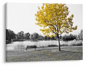 Obraz - Odpočinek v parku (70x50 cm)