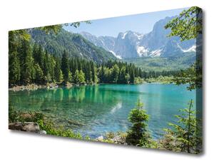 Obraz na plátně Hory Jezero Les Příroda 100x50 cm