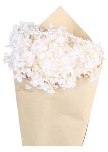 Bílá dekorace sušená květina hortenzie Hydrangea Flower - 60 cm