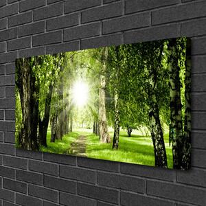 Obraz na plátně Les Slunce Stezka Příroda 125x50 cm