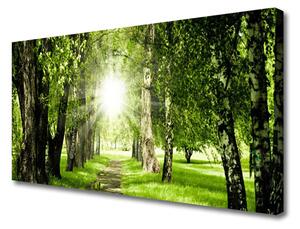Obraz na plátně Les Slunce Stezka Příroda 125x50 cm