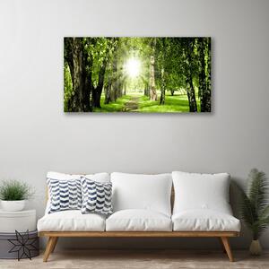 Obraz na plátně Les Slunce Stezka Příroda 100x50 cm
