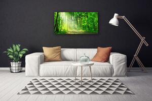 Obraz na plátně Les Cestička Stromy Příroda 140x70 cm