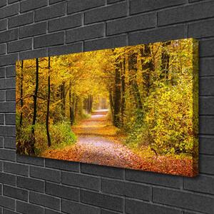 Obraz na plátně Les Rostlina Cestička Příroda 125x50 cm
