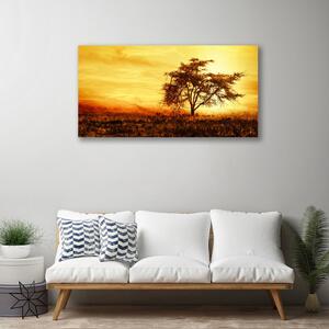 Obraz na plátně Strom Příroda 100x50 cm