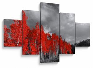 Obraz - Stromy v barvě podzimu (125x70 cm)