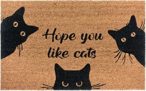 Hanse Home Collection koberce Rohožka Hope you like cats 105667 - na ven i na doma Rozměry koberců: 45x75