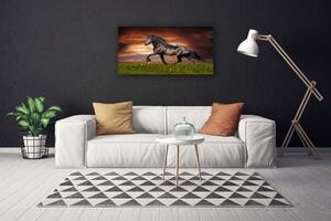 Obraz na plátně Černý Kůň Louka Zvířata 140x70 cm