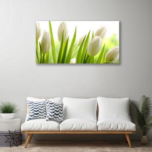 Obraz na plátně Tulipány Květiny 100x50 cm