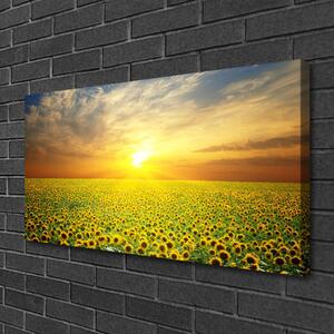 Obraz na plátně Slunce Louka Slunečnice 125x50 cm