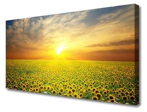 Obraz na plátně Slunce Louka Slunečnice 140x70 cm