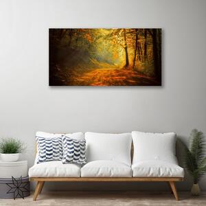 Obraz na plátně Les Cestička Stromy Příroda 100x50 cm