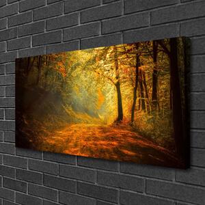 Obraz na plátně Les Cestička Stromy Příroda 125x50 cm